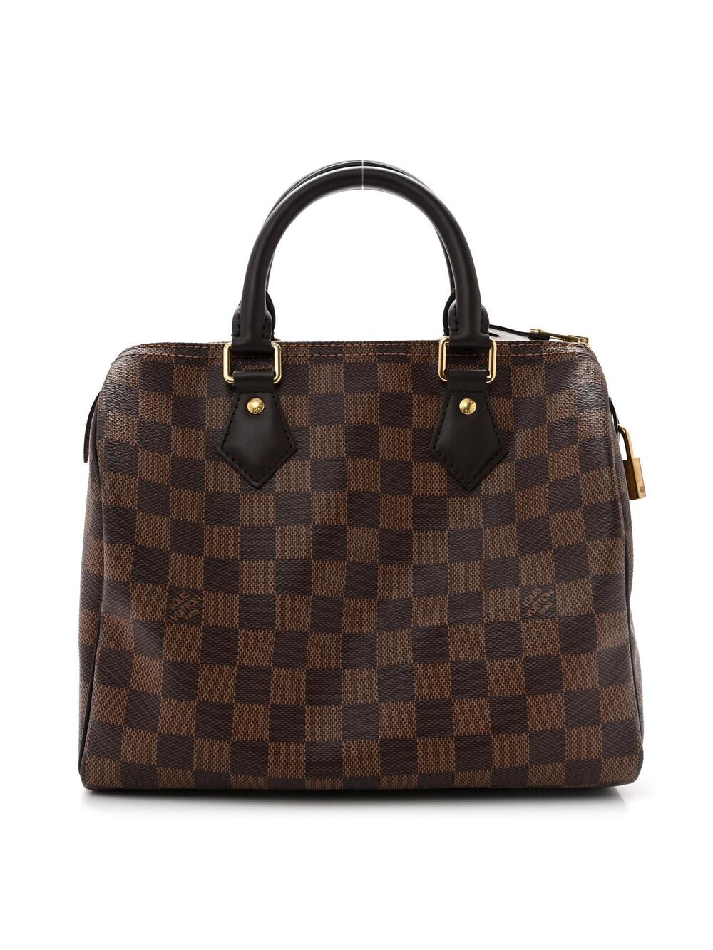 Louis Vuitton Damier Ebene Speedy 25 #361730L15B
